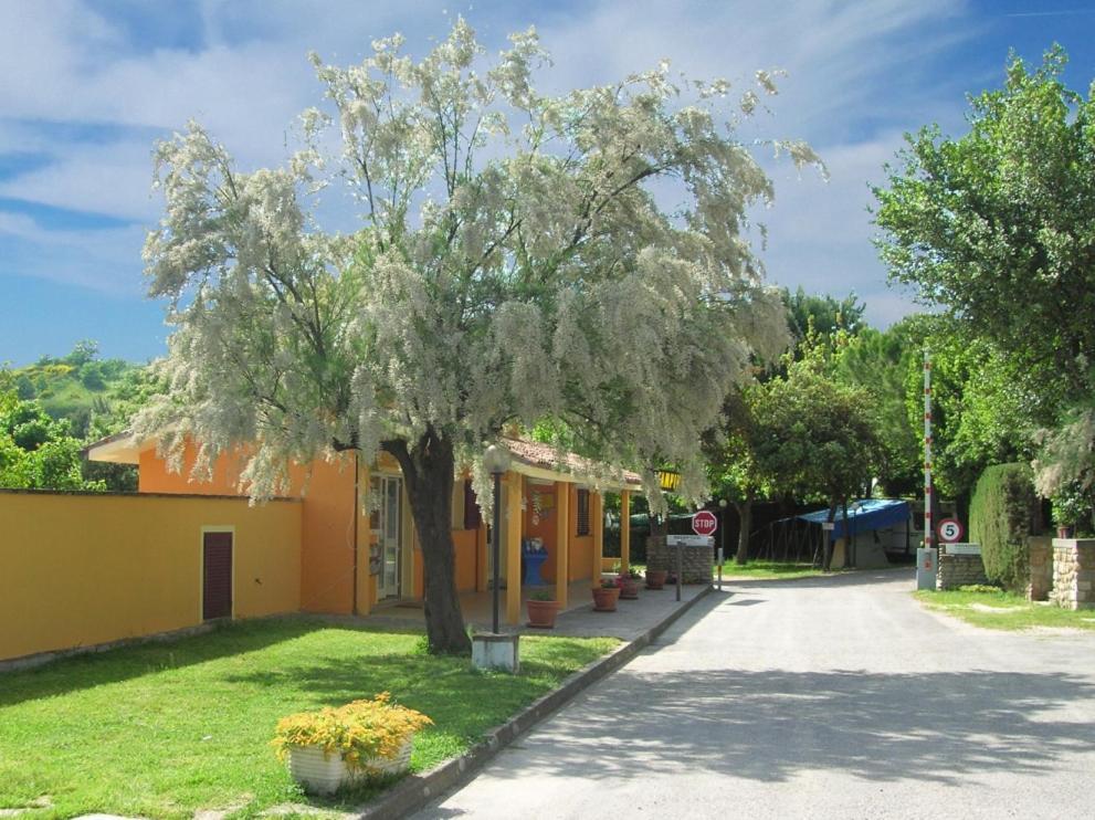 Camping Paradiso Pesaro Bagian luar foto